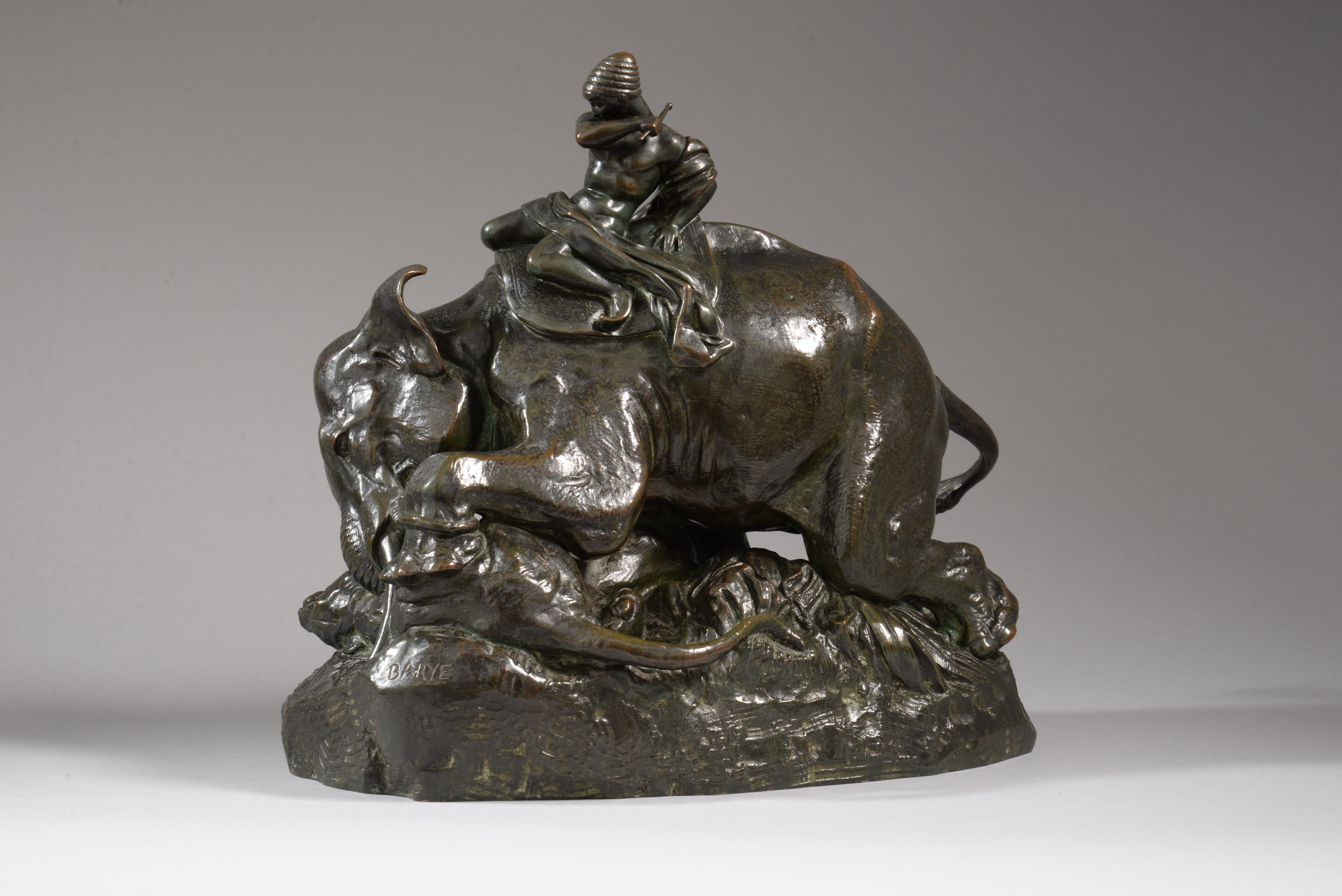 INDIEN MONTÉ SUR UN ÉLÉPHANT ÉCRASANT UN TIGRE